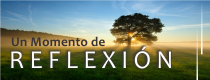 Reflexi&oacute;n